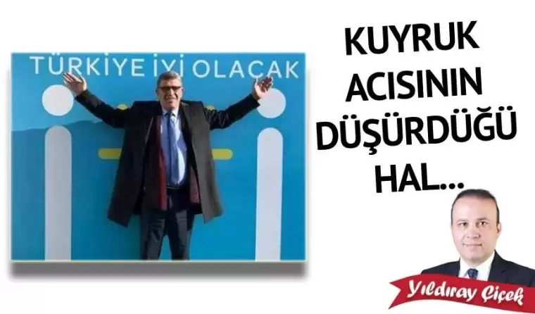 Kuyruk acısının düşürdüğü hal…