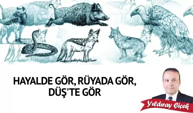 Hayalde gör, rüyada gör, düş’te gör