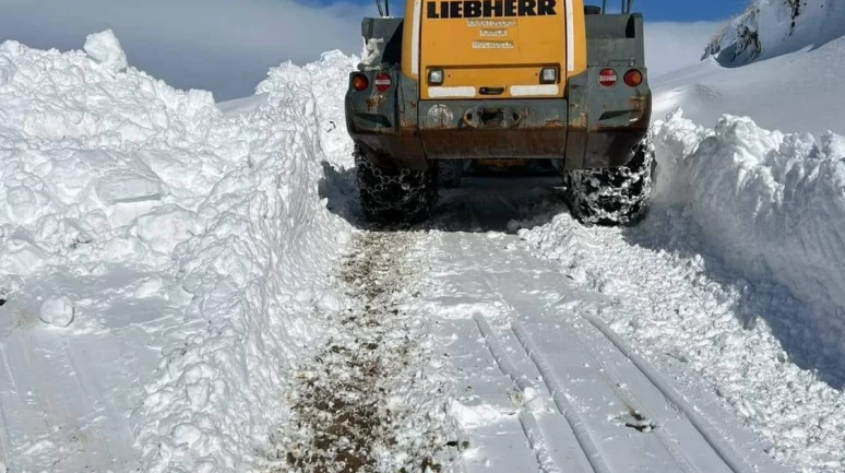 Kar kalınlığı 1 metreye ulaştı; ekipler çalışma başlattı