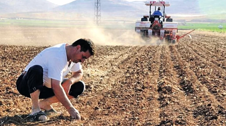 Çiftçilere yönelik tarımsal destekler ödenmeye başlandı!