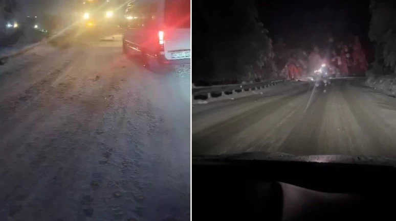 Kar yağışının etkisiyle ağaçlar devrildi, karayolunda ulaşım durma noktasına geldi