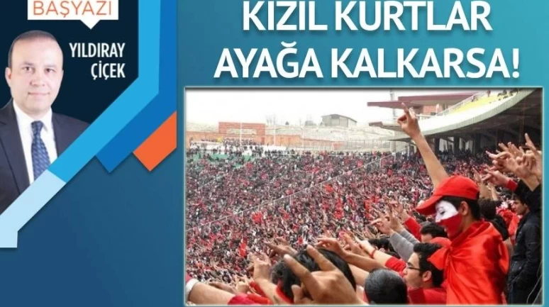 Kızıl kurtlar ayağa kalkarsa!