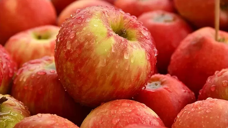 Elma diyeti ile 5 günde 7 kilo vermek mümkün