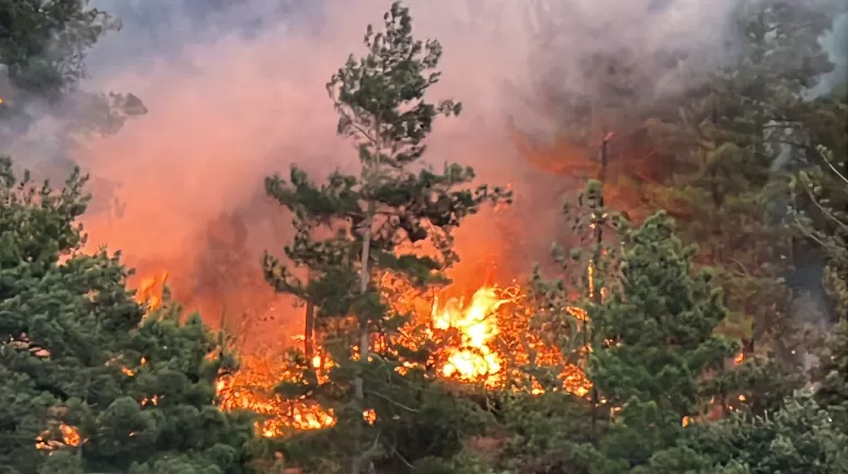 Kahramanmaraş'taki orman yangını ile ilgili flaş gelişme