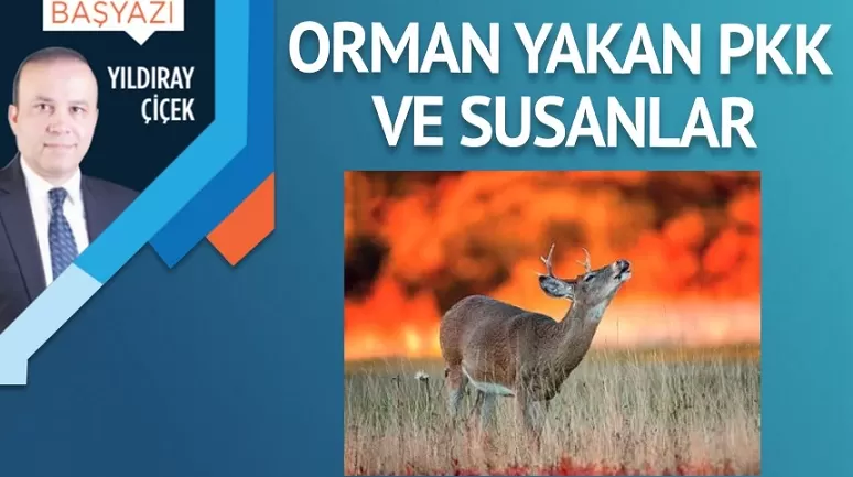 Orman yakan PKK ve susanlar