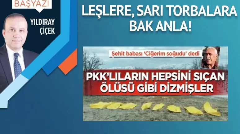 Leşlere, sarı torbalara bak anla!