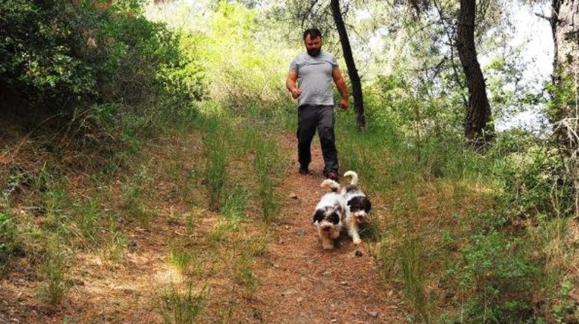 Köpeklerini onu bulmak için aylarca eğitti! Fiyatı 9 bin euro