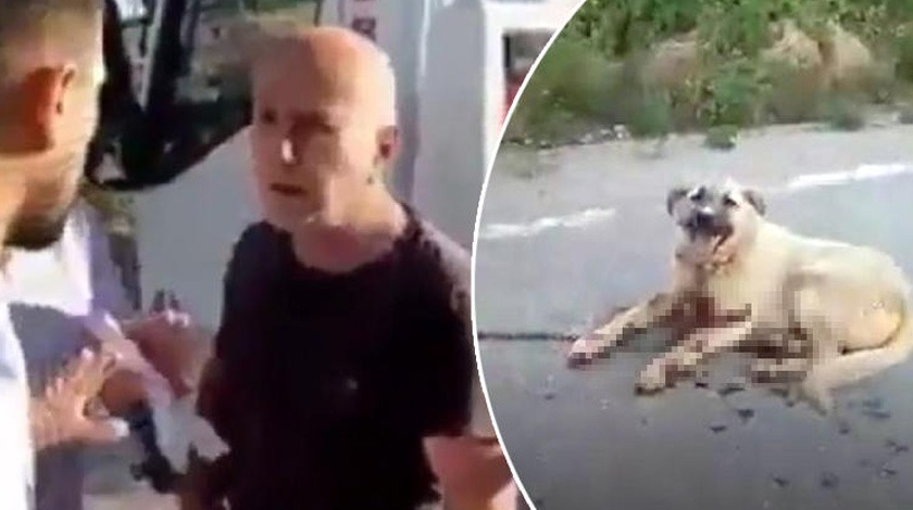 Adana'da korkunç olay! 'Köpeğime ceza verdim...'