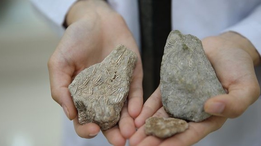 Pikniğe giden öğrenci bakın ne buldu