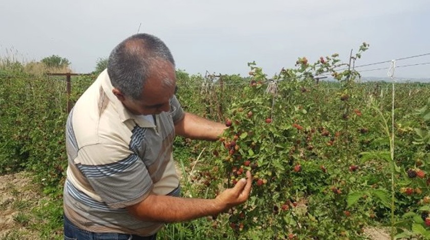 Belgeselden etkilendi, şimdi siparişlere yetişemiyor