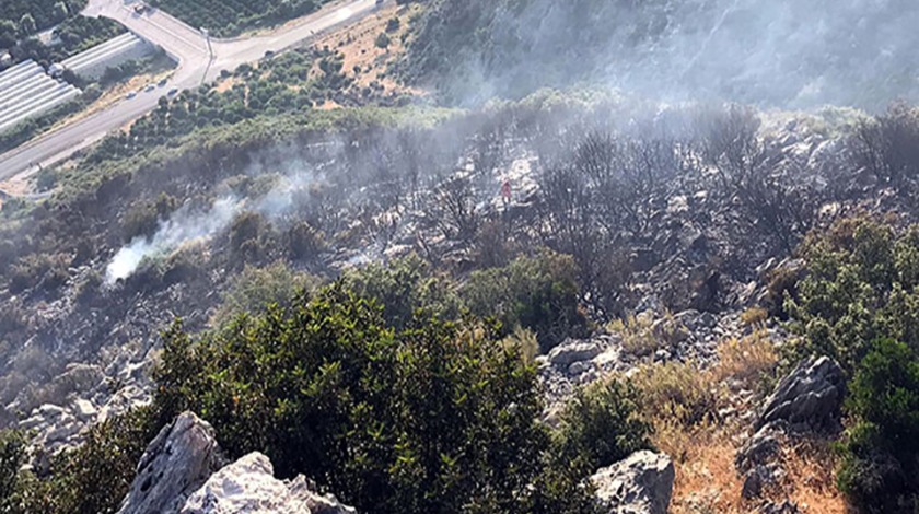 Finike'de ormanlık alanda yangın çıktı