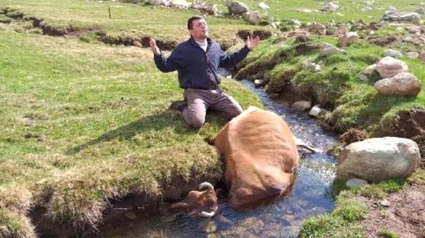 Yürek yakan görüntü! İneğine sarılıp ağladı