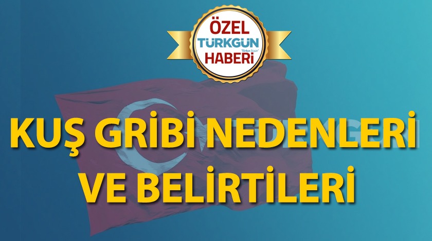 Kuş gribi nedenleri ve belirtileri