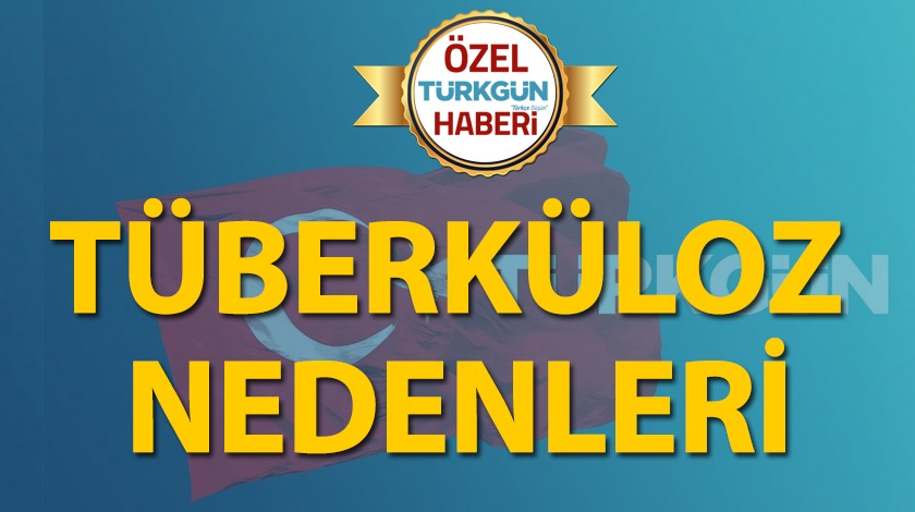 Tüberküloz nedenleri