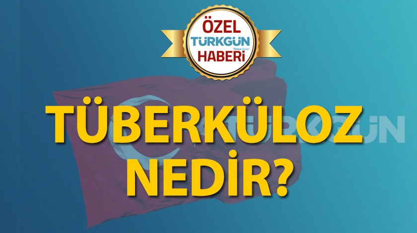 Tüberküloz nedir?