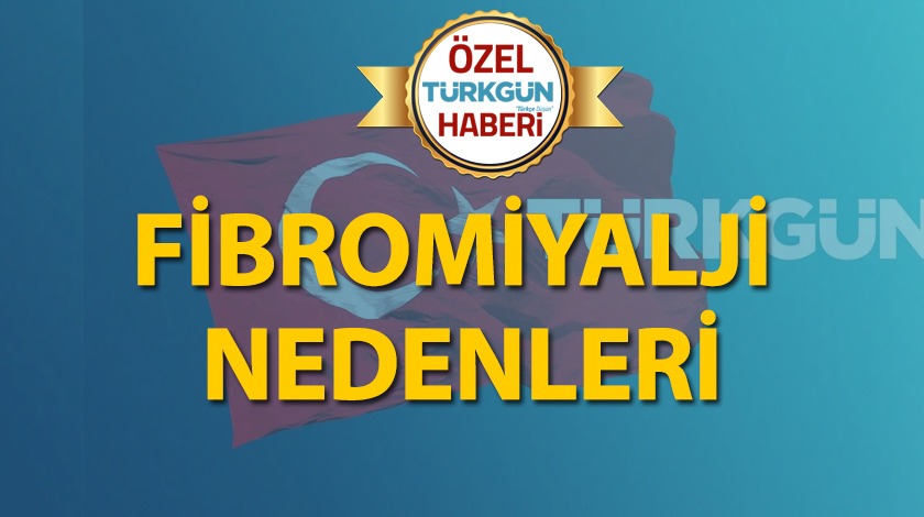 Fibromiyalji nedenleri