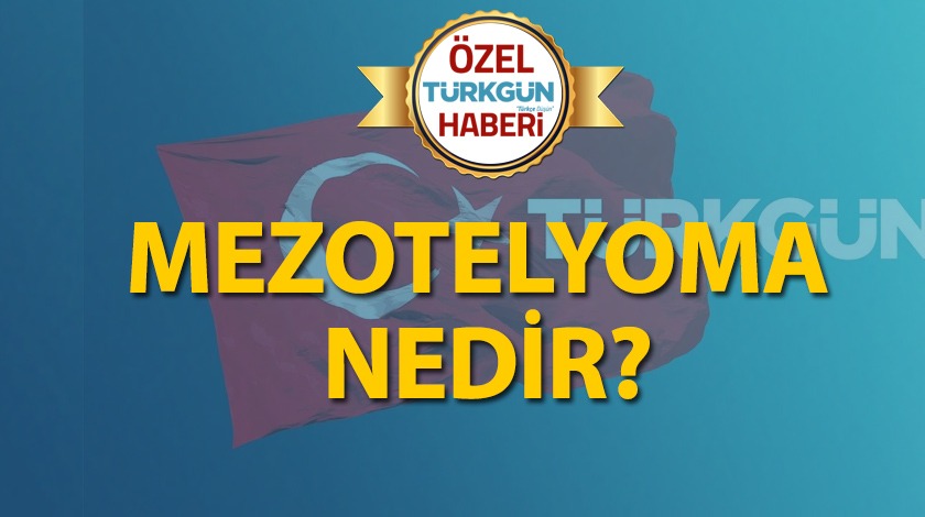 Mezotelyoma nedir?