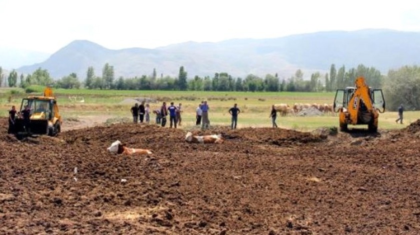 Şaşkına çeviren görüntü! Bu halde buldular