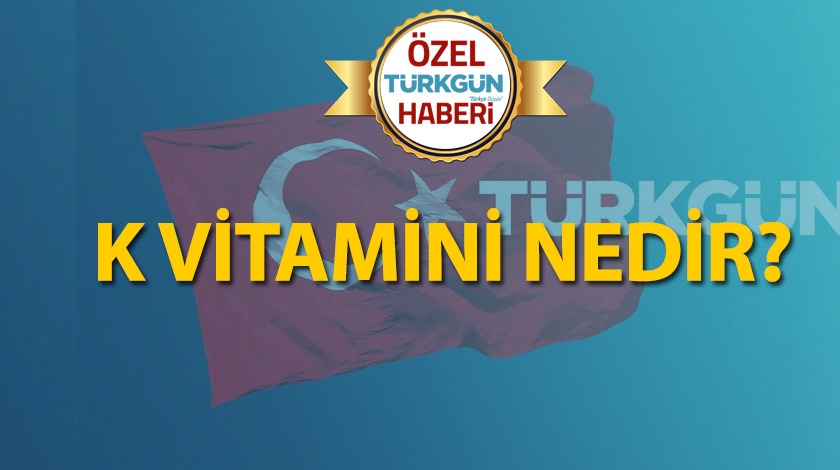 K Vitamini nedir?