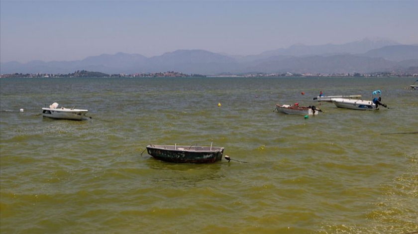 Fethiye'de korkutan görüntü