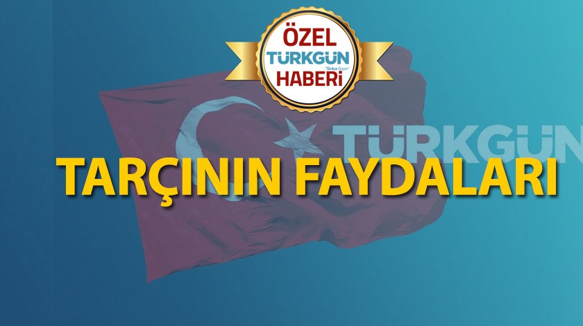 Tarçının faydaları