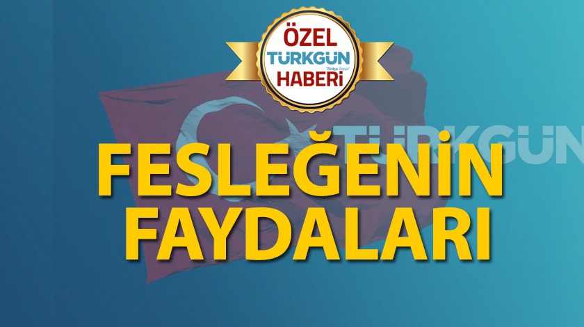 Fesleğenin faydaları