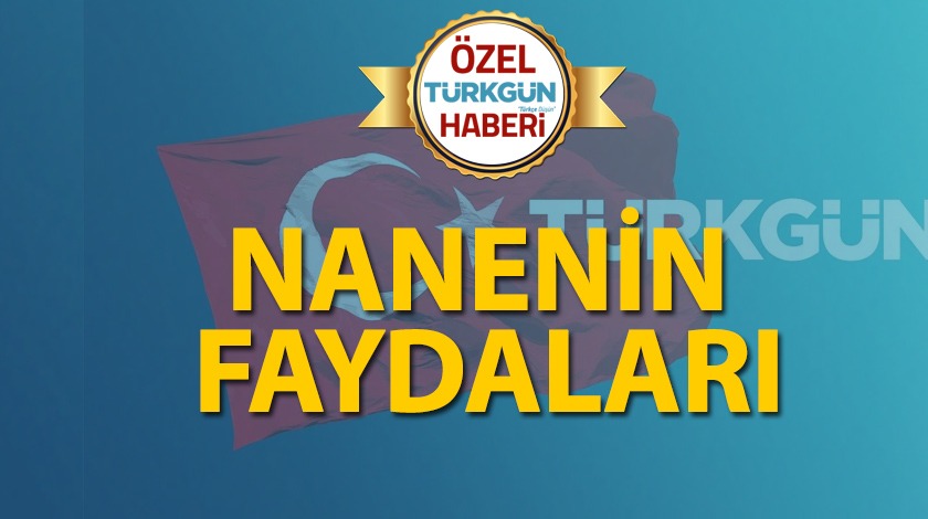 Nanenin faydaları