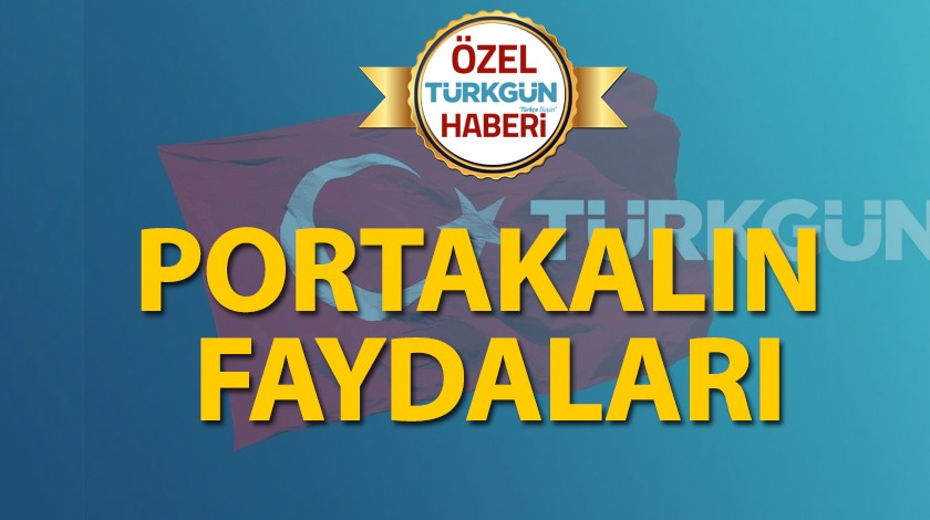 Portakal faydaları