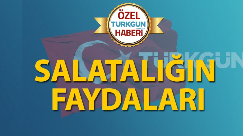 Salatalığın faydaları