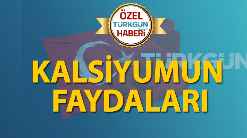 Kalsiyumun faydaları