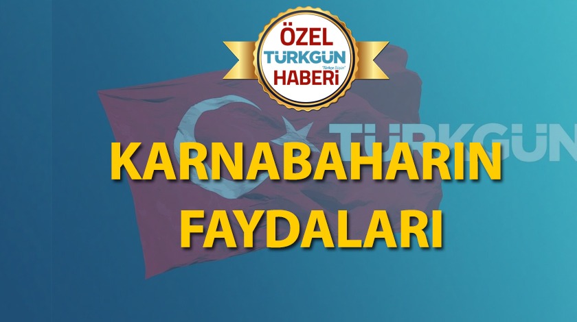 Karnabaharın faydaları