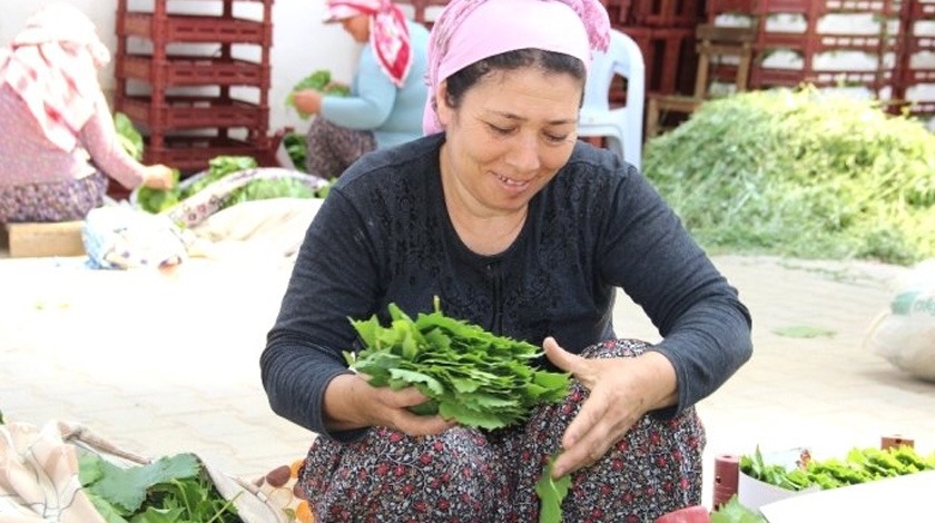 Geçim kaynağı oldu! 3 ayda 20 bin lira kazanıyorlar