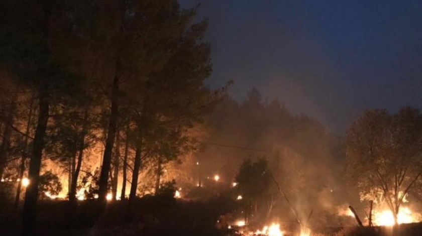 Muğla'da orman yangını giderek büyüyor