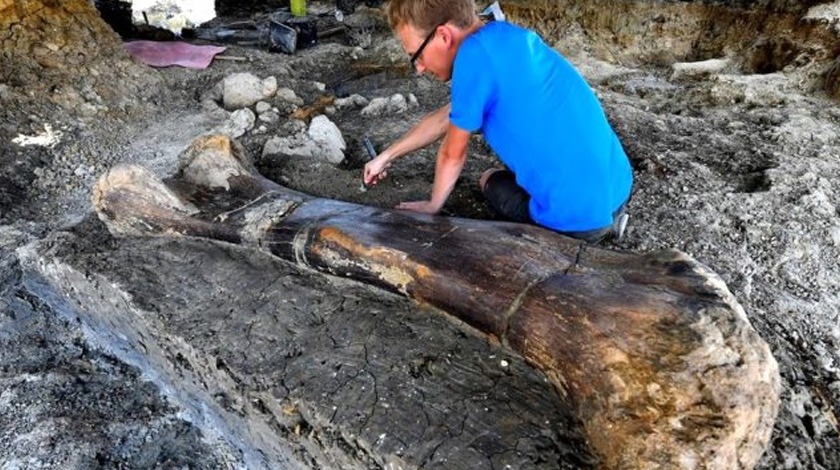 500 kiloluk kemik bakın neye ait çıktı