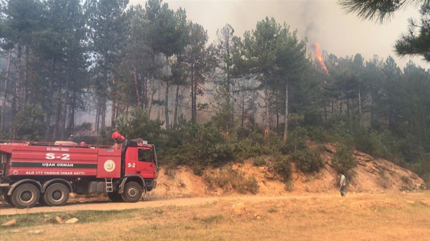 Uşak'ta orman yangını