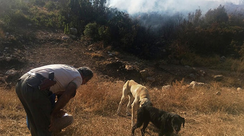 Ateşe verdi, ekipler suçüstü yakaladı