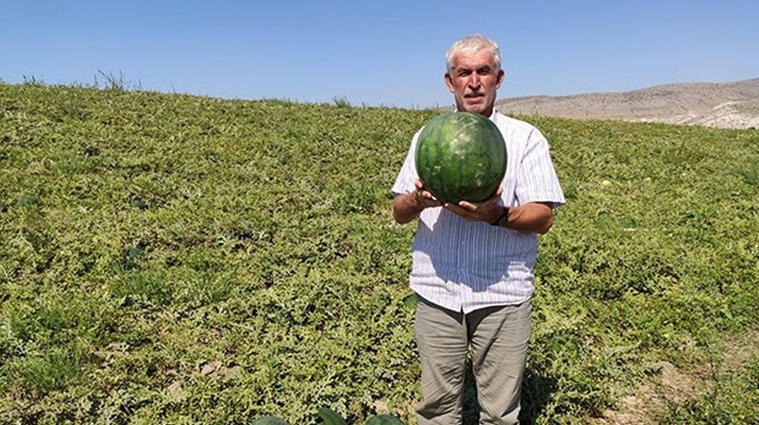 Ankara'da üretiliyor! Aylarca bozulmadan...