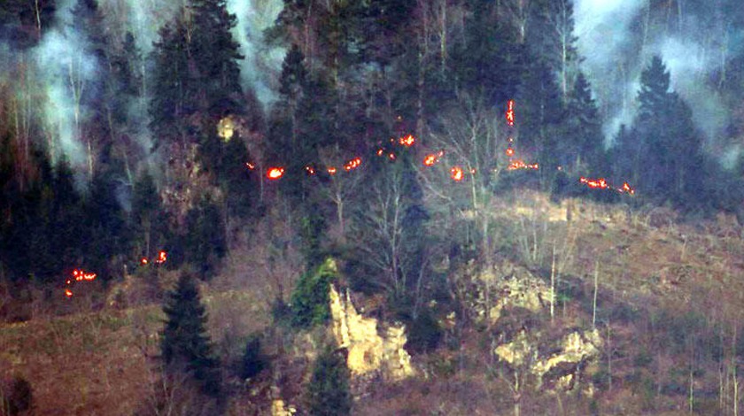 Karadeniz'de 69 noktada yangın! Sabotaj iddiasına açıklama geldi