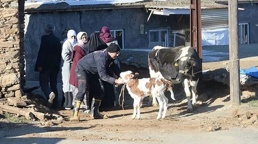 Bakanlık açıkladı: Depremde hayvanları telef olan vatandaşlara destek