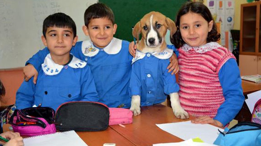 Öğrencilerin sevgilisi Fındık'tan üzücü haber