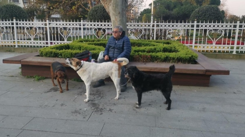 Yasağa rağmen sokağa çıktı: Sözleri şaşırttı