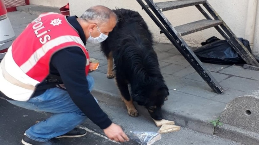 İftarlık kumanyasını, sokak köpeğiyle paylaştı