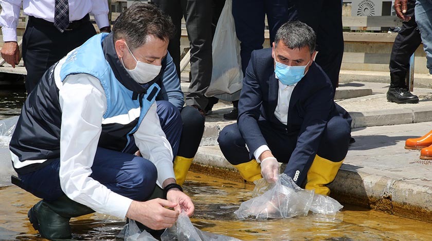 Gölbaşı’nın suları sazanlarına kavuştu