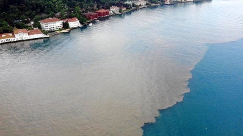 İstanbul'un çamurundan korona çıktı