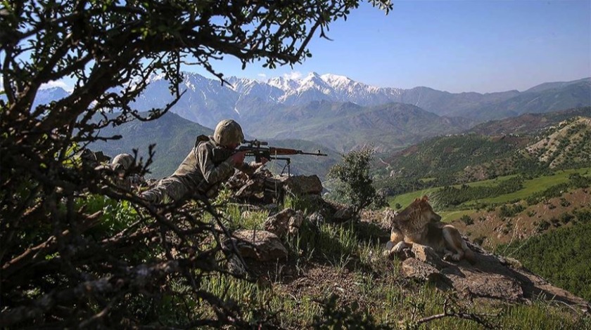 Şırnak ve Elazığ'da 4 terörist etkisiz hale getirildi