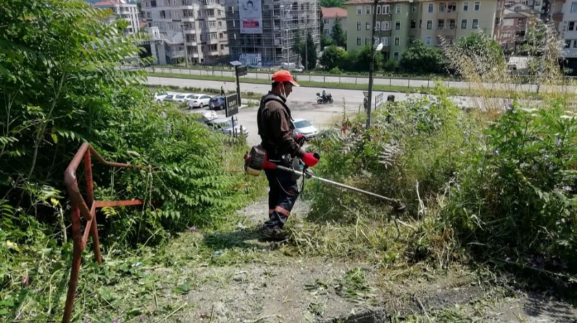 Ot temizleme çalışması Aladağ Mahallesinde devam etti