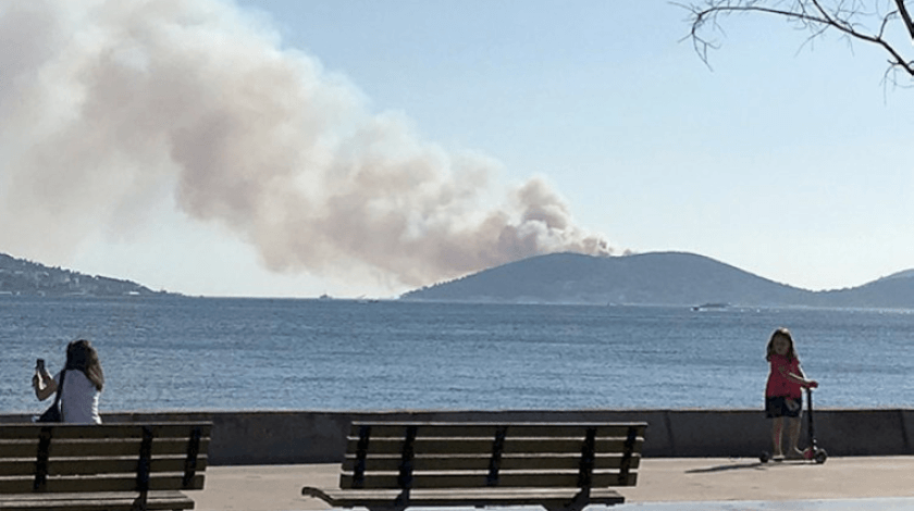 Heybeliada'da iki farklı noktada yangın