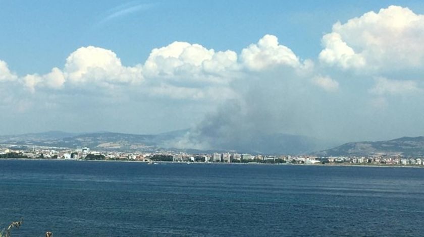 Çanakkale'de orman yangını