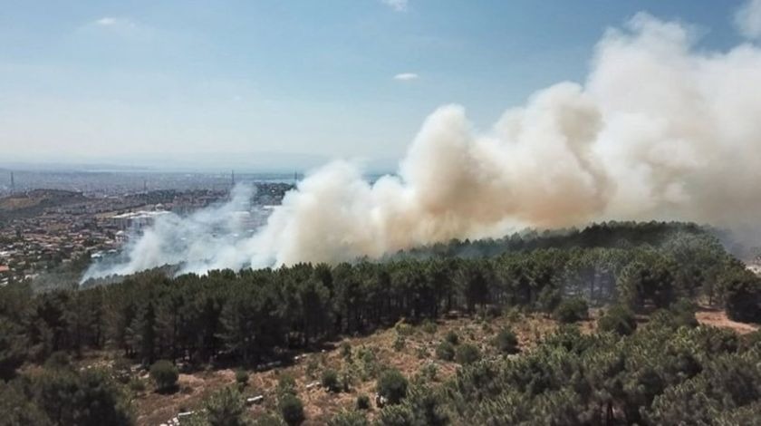 Aydos Ormanı'nda yangın çıktı