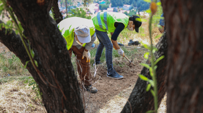 Kütahya Kalesi kurtarma kazısı çalışmaları başladı